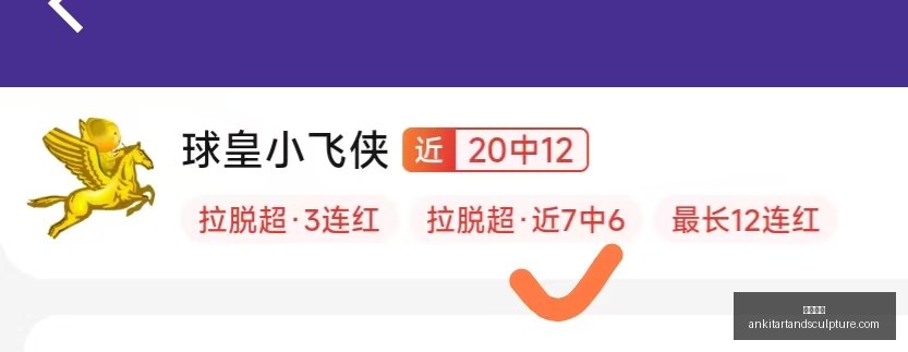 影豹足球队,扬帆起航,力争年度乙,开云入口官网,开云入口,开云体育,开云代理,开云全站