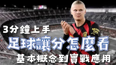吴艳妮积分超越日本选手，荣登亚洲冠军宝座——《潇湘晨报》揭秘